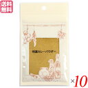 【マラソン限定!100円クーポン!ポイント2倍!】井上スパイス 特選カレーパウダー 20g 10袋セット カレー カレー粉 スパイス 送料無料(4)