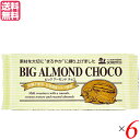 【マラソン限定!ポイント2倍!100円クーポン!】チョコ チョコレート 板チョコ 創健社 ビッグアーモンドチョコ 400g 6個セット 送料無料