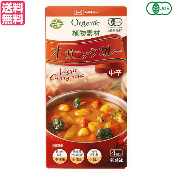カレー カレールー カレーライス 創健社 植物素材オーガニックカレー中辛 100g 送料無料のサムネイル