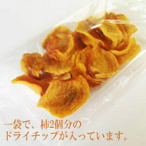 【マラソン限定！ポイント4倍！】干し柿 ドライフルーツ 柿のしずく 70g 王隠堂 送料無料 2