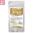 【5/15(木)限定!楽天カード利用でポイント9倍!】蓮根 レンコン パウダー オーサワ コーレン(節蓮根入り)50g 送料無料