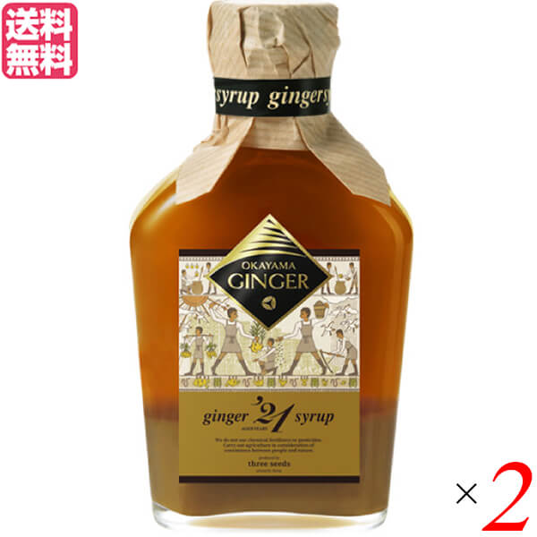 【5/20(水)楽天カードでポイント最大13倍！】生姜 ジンジャー シロップ おかやまジンジャーシロップ 160ml 瀬戸内ファーム 2本セット 送料無料