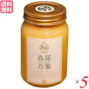 はちみつ ハチミツ ハニー 森羅万象 天山蜂蜜 600g 5個セット 送料無料