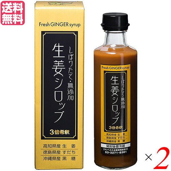 生姜シロップ ジンジャーシロップ しょうが サンヘルス 生姜シロップ 275ml 2個セット 送料無料