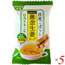 フリーズドライ スープ 即席スープ 国産ごぼうと高知県産黄金生姜スープ 旨みチキン味 9g 5個セット イー・有機生活 送料無料