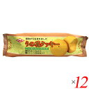 【7/30(水)限定!楽天カードでポイント最大12倍!】お菓子 クッキー ビーガン キング製菓 うの花クッキー 80g 12個セット 送料無料