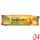 【7/30(水)限定!楽天カードでポイント最大12倍!】お菓子 クッキー ビーガン キング製菓 うの花クッキー 80g 24個セット 送料無料