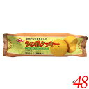 【7/30(水)限定!楽天カードでポイント最大12倍!】お菓子 クッキー ビーガン キング製菓 うの花クッキー 80g 48個セット 送料無料