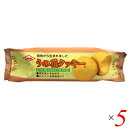【7/30(水)限定!楽天カードでポイント最大12倍!】お菓子 クッキー ビーガン キング製菓 うの花クッキー 80g 5個セット