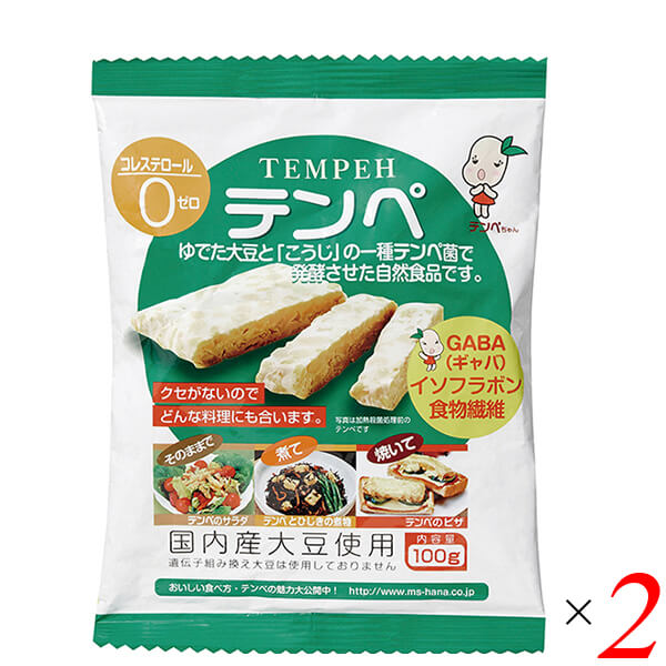 テンペ（レトルト）100g 2個セット マルシン食品 国産 大豆ミート 大豆肉 送料無料