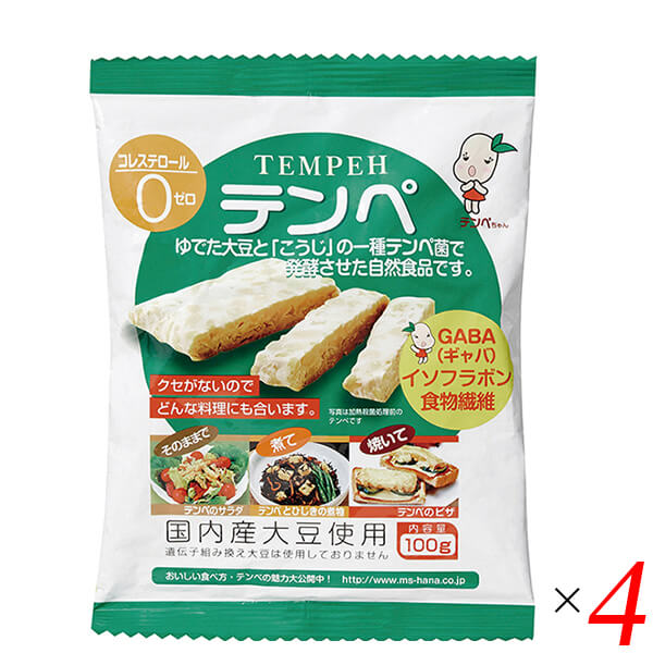 【マラソン限定！ポイント2倍！100円クーポン！】テンペ（レトルト）100g 4個セット マルシン食品 国産 大豆ミート 大豆肉