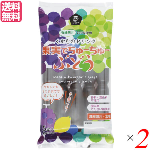 チューチュー アイス ちゅーちゅー 果実でちゅーちゅー・ぶどう 45ml×5本 2本セット 送料無料