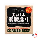 【7/27(日)限定!エントリーでポイント2倍!】コンビーフ お取り寄せ 缶詰 創健社 愛媛産牛 無塩せきコンビーフ 80g 5個セット 送料無料