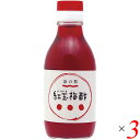 【9/30(火)限定!楽天カード利用でポイント8倍!】お酢 ドリンク 飲む 紅玉梅酢 200ml 3本セット 海の精