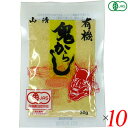 からし 辛 オーガニック 山清 有機鬼からし(粉からし) 30g 10袋セット