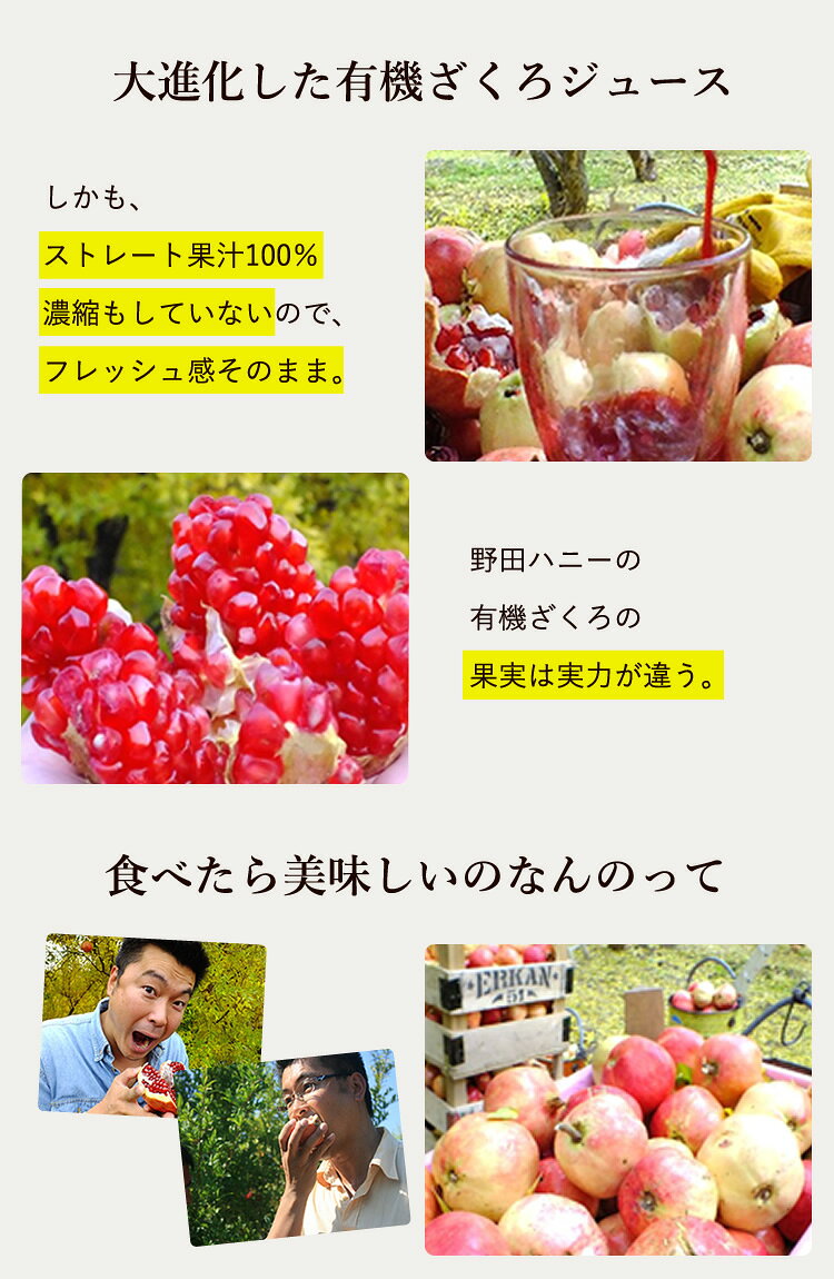 ざくろジュース 100% 野田ハニー 有機ざくろジュース100% 710ml瓶 2本セット bsecond-10013389 ビューティーツー サンプル画像3