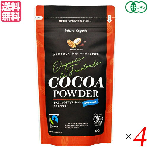  ѥ cocoa 濩 ͭ 120g 4ޥå ̵