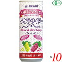 【マラソン限定!100円クーポン!ポイント2倍!】光食品 サイダー 炭酸ジュース ヒカリ オーガニックぶどうサイダー+レモン 250ml 10本セット