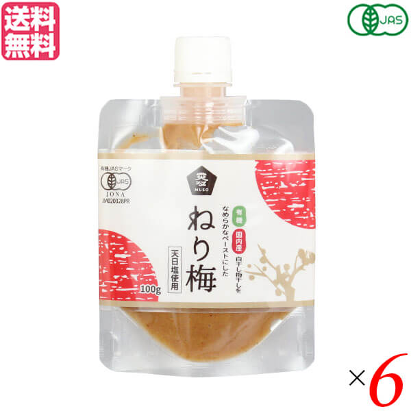 ねり梅 練り梅 無添加 ムソー 有機ねり梅 100g 6個セット 送料無料