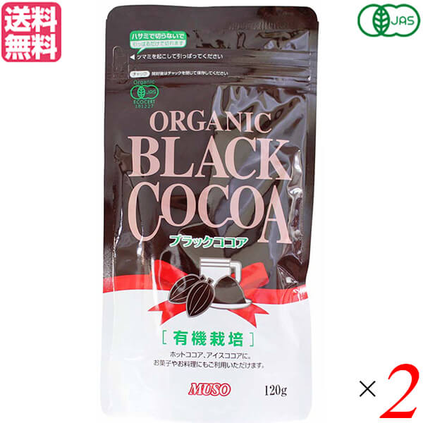 ココア ココアパウダー 無糖 ムソー オーガニックブラックココア 120g 2個セット 送料無料