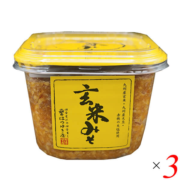 【4/10(金)限定！楽天カードでポイント8倍！】玄米味噌 カップ 国産 玄米みそ 500g 3個セット はつゆき屋 送料無料