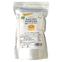 ベーキングパウダー 大容量 風と光 有機ベーキングパウダー 1kg 送料無料