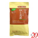 はとむぎ茶 ハトムギ 茶 茶みんなのはと麦茶 160g(8g×20) 20個セット 小川生薬 送料無料