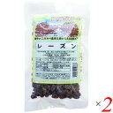 レーズン 120g 2個セット ネオファーム ドライフルーツ カリフォルニア 非加熱 送料無料