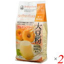 【5/15(木)限定!楽天カード利用でポイント9倍!】大豆粉 大豆 粉末 グルテンフリー 豆っ粉 大豆粉 200g 2個セット 山清 送料無料