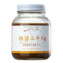 梅梅醤エキス 濃縮番茶&生姜入り 250g いんやん倶楽部 送料無料