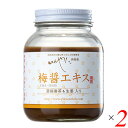 梅梅醤エキス 濃縮番茶&生姜入り 250g 2個セット いんやん倶楽部