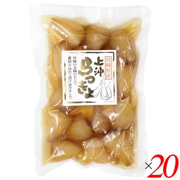 らっきょう 漬物 らっきょう漬け 宮崎県産甘らっきょう 100g 20個セット 上沖産業