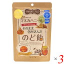マヌカハニー 飴 ドロップ マヌカハニーをそのまま包み込んだのど飴 73g 3個セット 送料無料