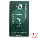 梅 青梅 ペースト 特別栽培梅エキス 王隠堂 65g 12個セット 送料無料