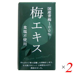 梅 青梅 ペースト 特別栽培梅エキス 王隠堂 65g 2個セット 送料無料