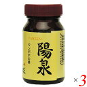 タンポポ 根 たんぽぽ茶 陽泉 100g 3個セット 日本正食品研究所 送料無料