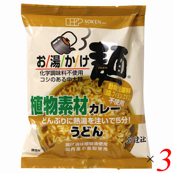 創健社 お湯かけ麺 植物素材カレーうどん 81g 3個セット ヴィーガン ビーガン 中太麺