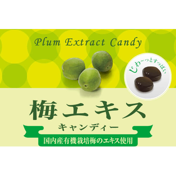 【ポイント8倍！】7/25(土)限定！創健社 梅エキスキャンディー 75g （個包装込み） 10個セット 国内産有機栽培梅エキス使用 国産 梅 飴 bsecond-10030935 ビューティーツー サンプル画像3