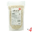 【マラソン限定!ポイント2倍!100円クーポン!】太陽食品 国産はとむぎ炊飯器用 お徳タイプ 650g 4個セット ハトムギ 鳩麦 ハトムギ米
