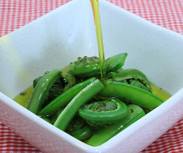 BIOCA �ӥ��� ͭ���������ȥ�С����󥪥꡼�֥����� 910g 2�ܥ��å� ���ڥ��� ������륷�� ���ҥ֥�󥫼�