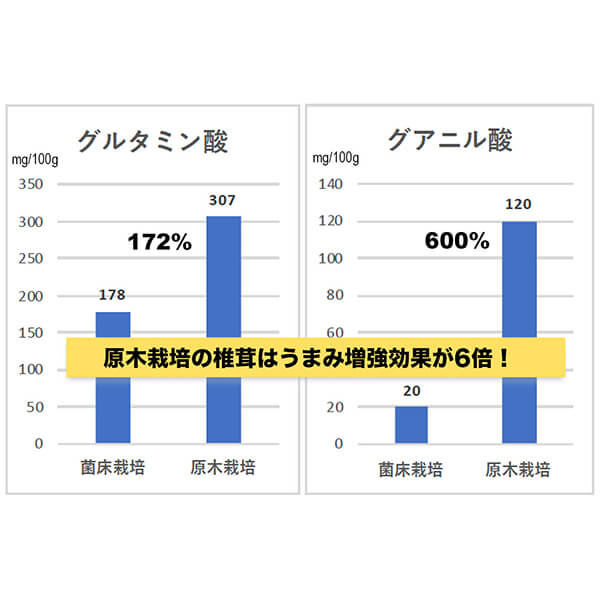 杉本商店 九州産本格椎茸粉 40g 8個セット シイタケ パウダー 粉末