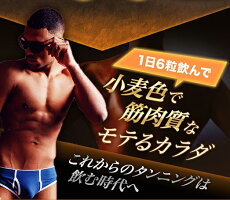 ムキムキのモテる体