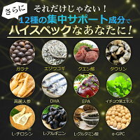 【ZONE】カフェインテアニン配合でこれまでに体験したことのないゾーンへ集中サプリスマートサプリ安心の国産ガラナエゾウコギクエン酸高麗人参DHAEPAイチョウ葉エキスホスファチジルセリンPSチロシンアルギニングルタミン酸