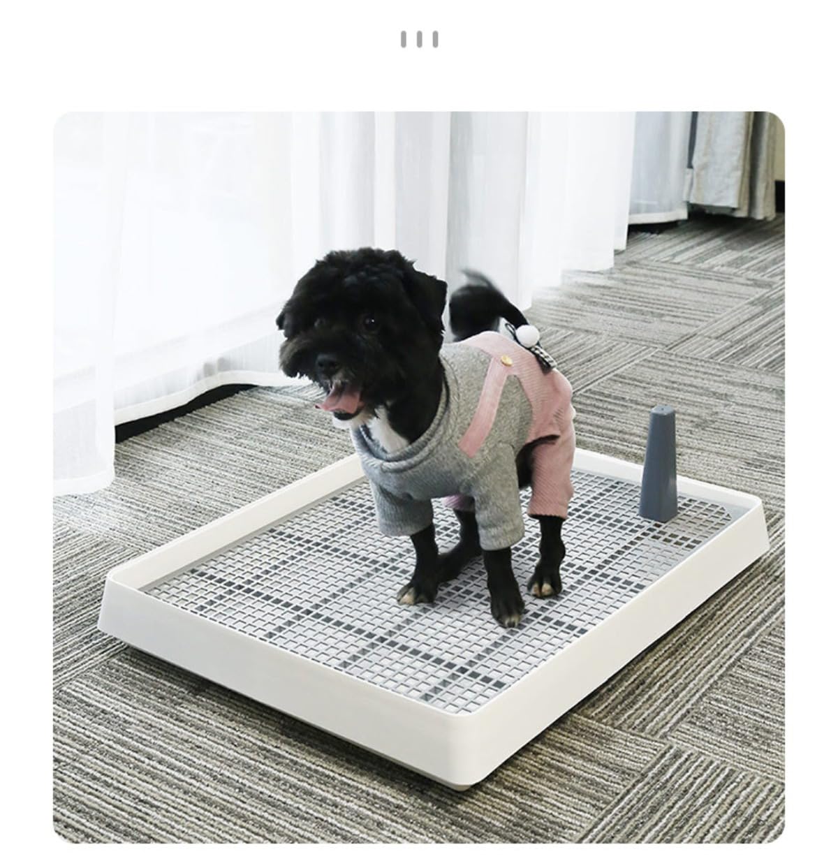 BSޡåȤ㤨ָȥ Ĥ ƥåץȥ졼 緿б ݽñ å (57.2*45.5*7.8פβǤʤ2,797ߤˤʤޤ