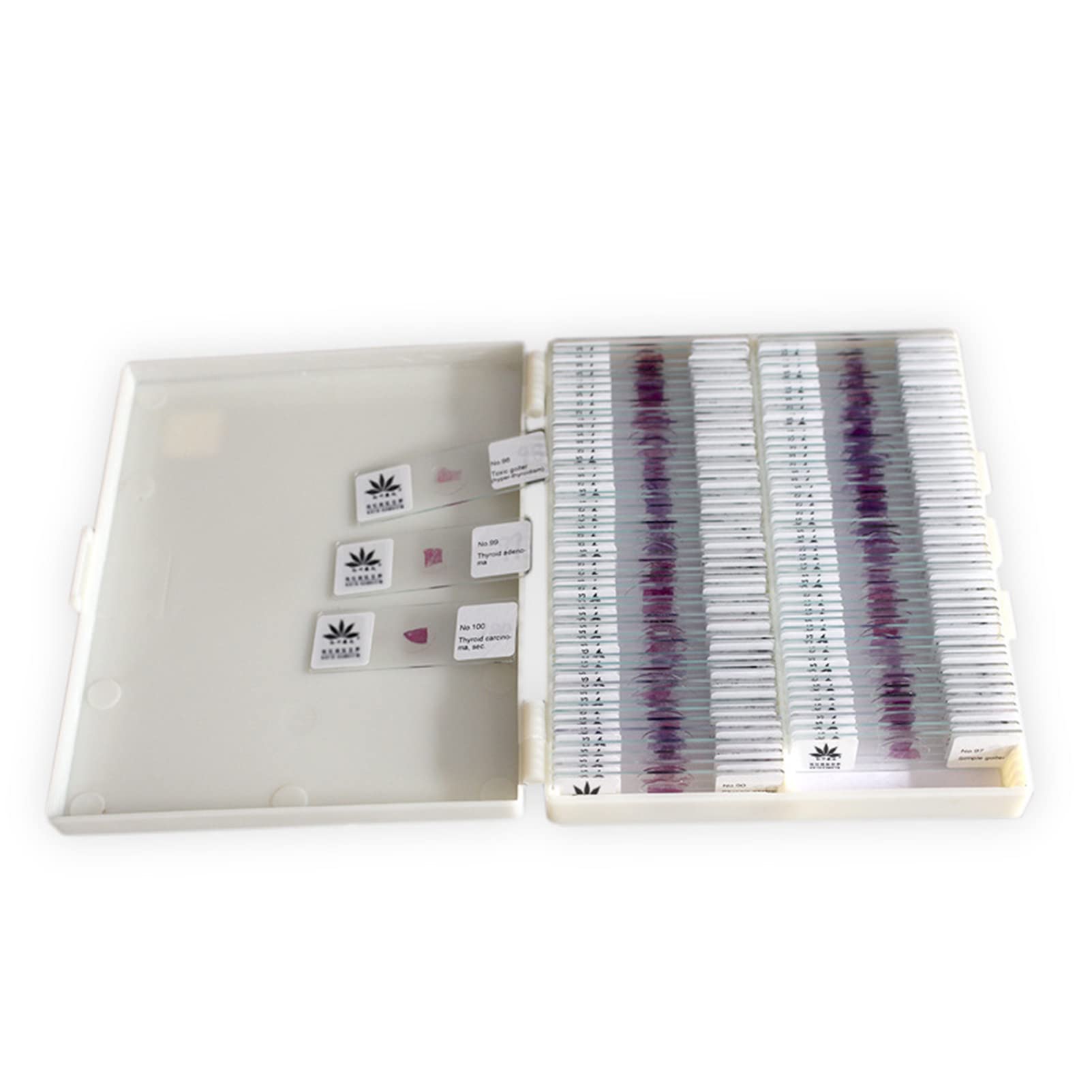 100PCSヒト病理学セクション標本顕微鏡組織細胞観察スライス高等教育用スライド、実験室生物学および教..