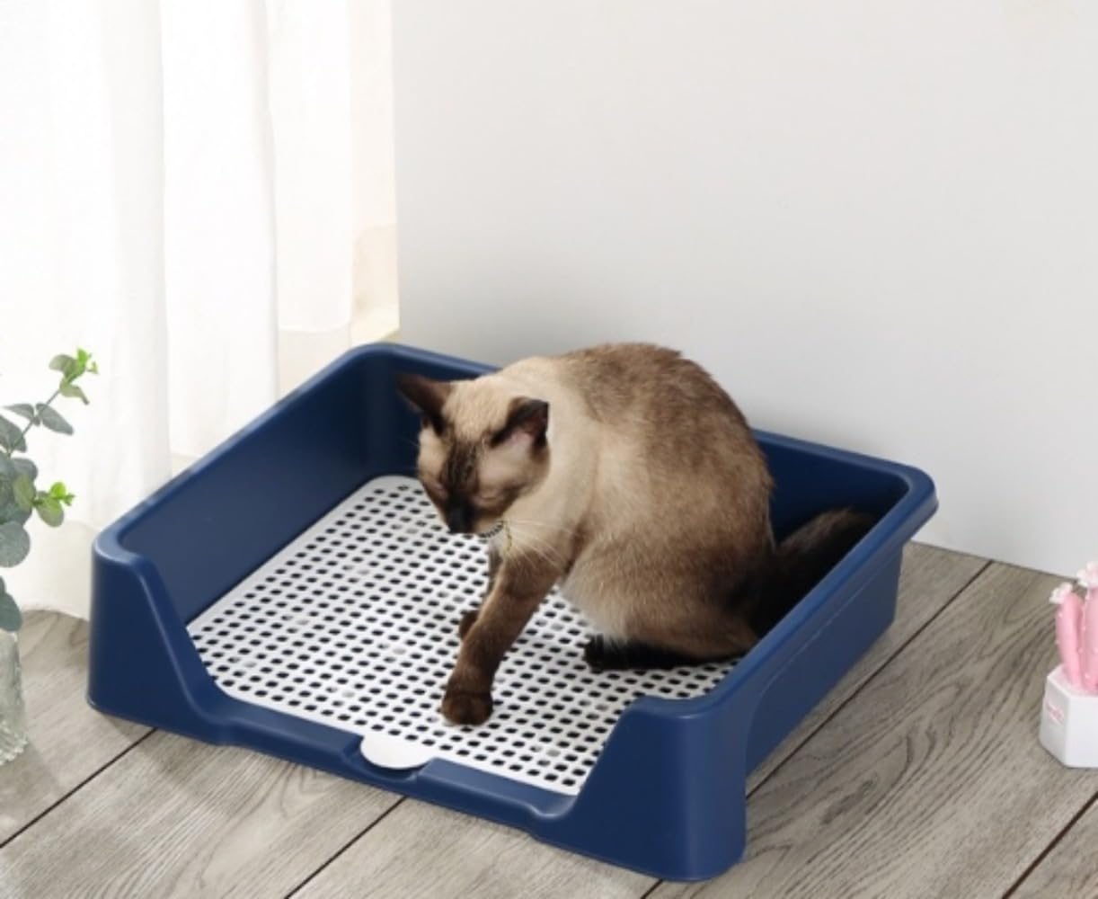 猫 トイレ システムトイレ ウィークリートイレセット 本体 おしゃれ 引き出し 大きいトイレ ゆったり 猫 トイレ 大型 速い掃除 無毒無害 猫用トイレ小型と中型の猫に適用 飛び散り防止 (ブラウン)