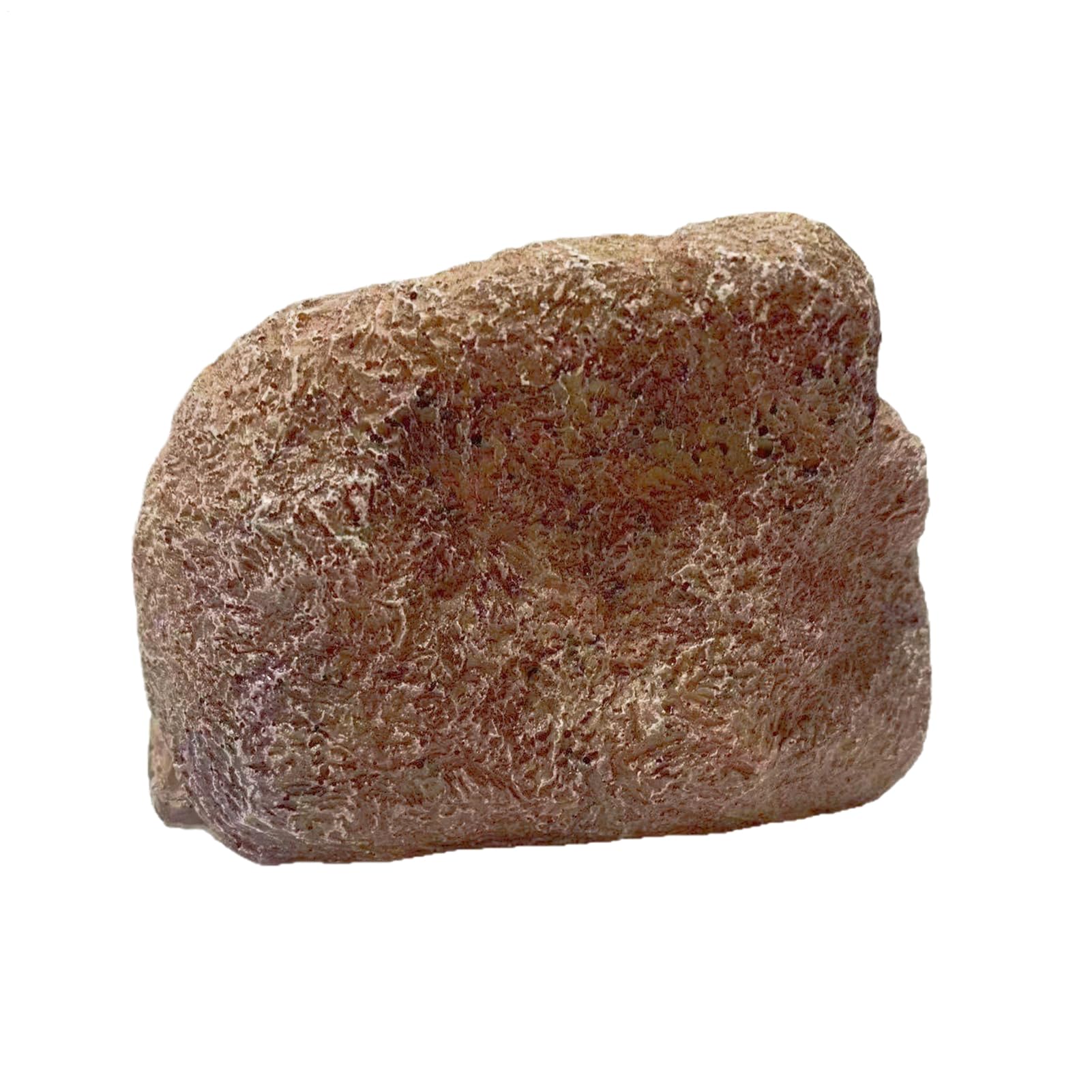 屋外用ロックキーホルダー, 防水 隠し 擬似ストーン ストレージボックス 施錠付き, 樹脂製ケース 収納ボックス 家屋 裏庭 パティオ 物置 コーナー ジオキャッシング ホームステイ ホスト向け