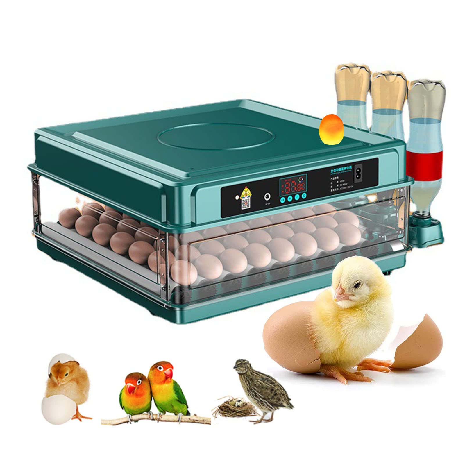 自動インキュベーター 自動孵卵器 孵卵機 自動転卵 卵孵化器 小型自動孵卵器 大容量 鳥類専用ふ卵器 自..