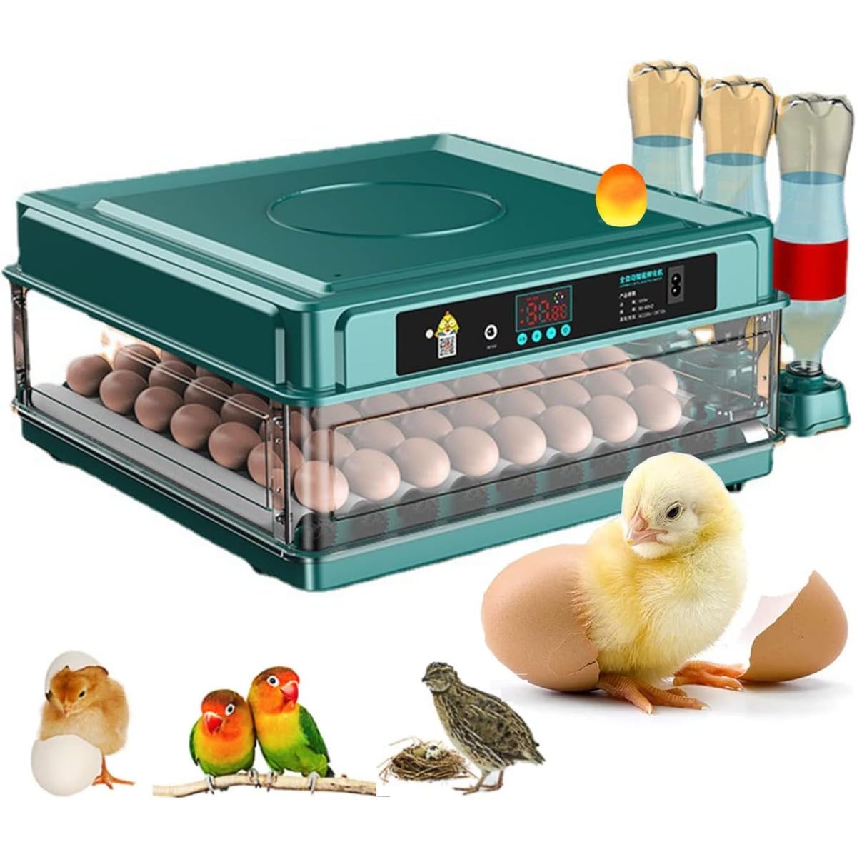 自動インキュベーター 自動孵卵器 孵卵機 自動転卵 卵孵化器 小型自動孵卵器 大容量 鳥類専用ふ卵器 自..
