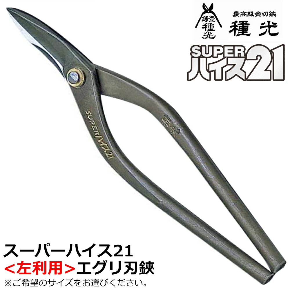 楽天市場】種光 ハイス 左の通販